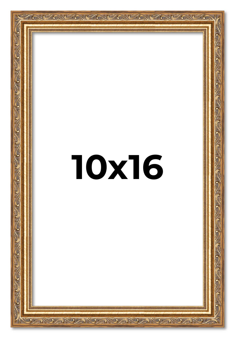 10x16 Museum-Quality Picture Frame with UV-Resistant Acrylic & Acid-Free Backing, Available in 4 Finishes - Gold, Silver, Bronze, and Black